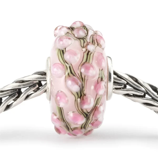 Boccioli Rosa - immagine 2